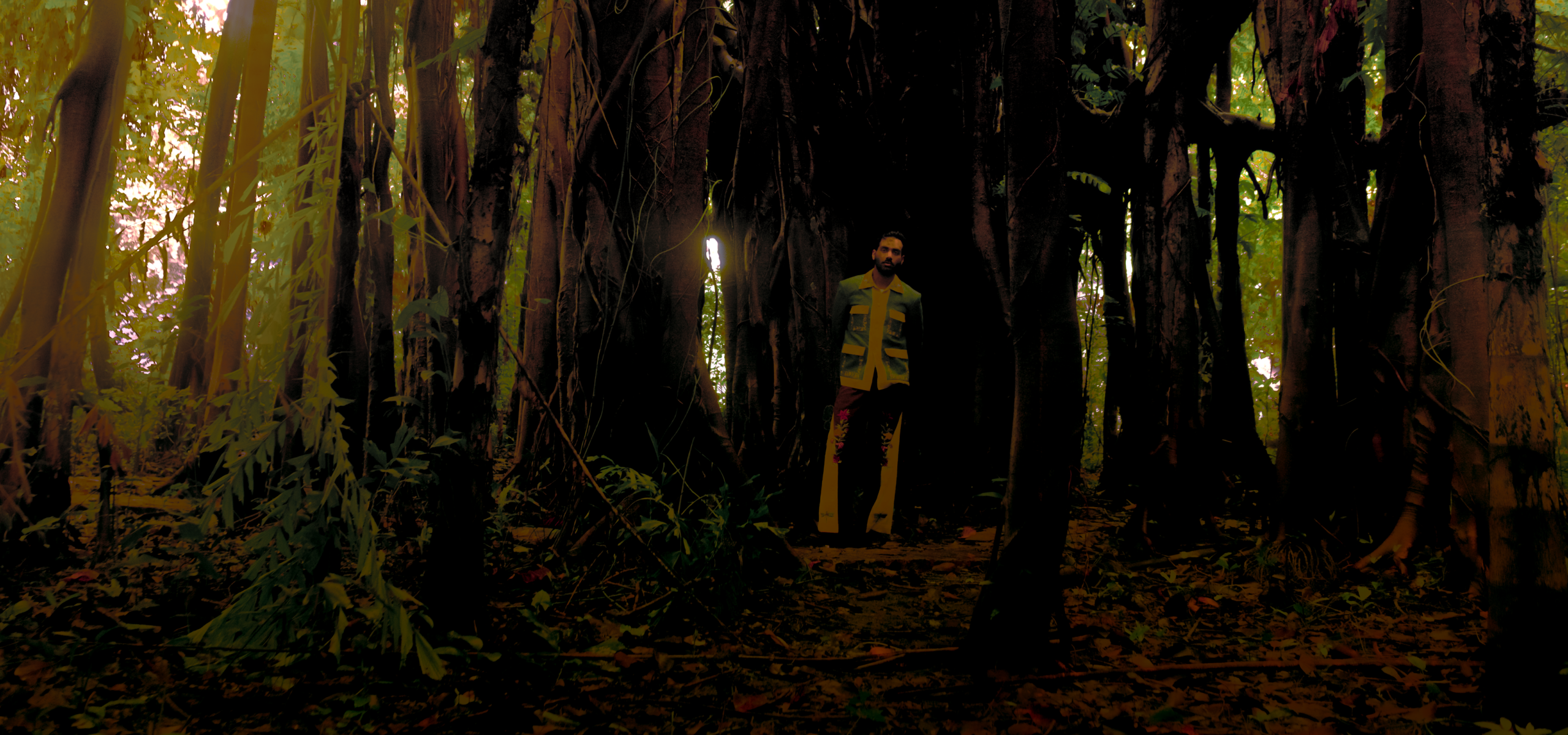 Ein Ort, an dem Vergangenheit, Gegenwart und Zukunft die gleiche Luft atmen: Edwin Raphael veröffentlicht neues Album „I Know A Garden“